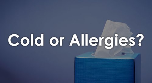 alergie raceala